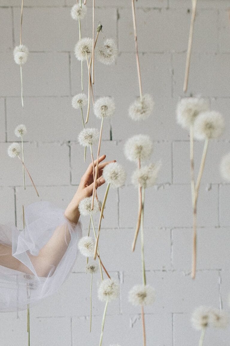 womans hand among dandelion flowers