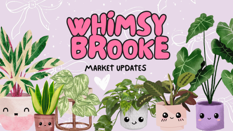 Whimsy Brooke – Updates!
