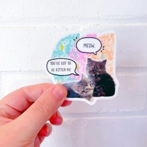 Kitten Me