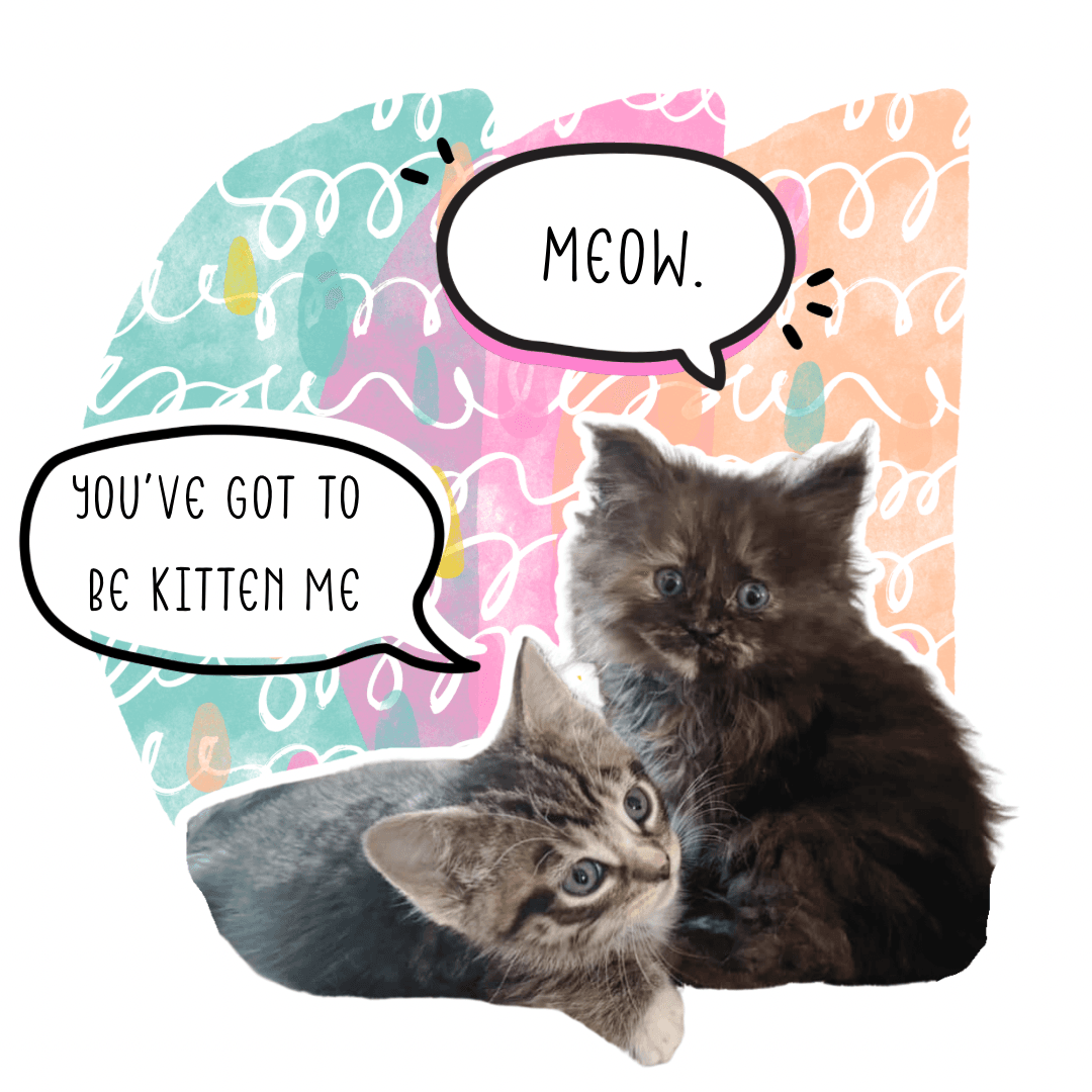Kitten Me - Image 2
