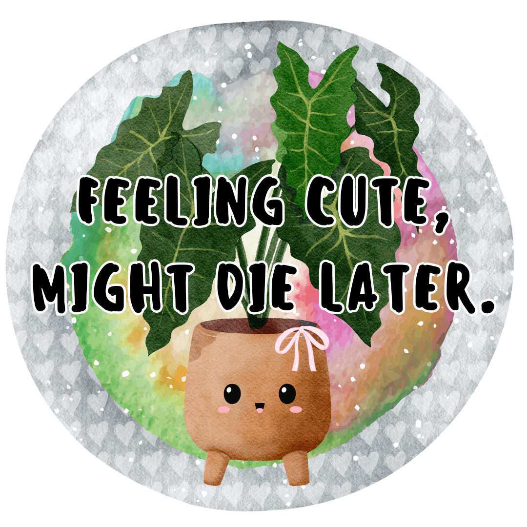 Feeling Cute... - Image 2
