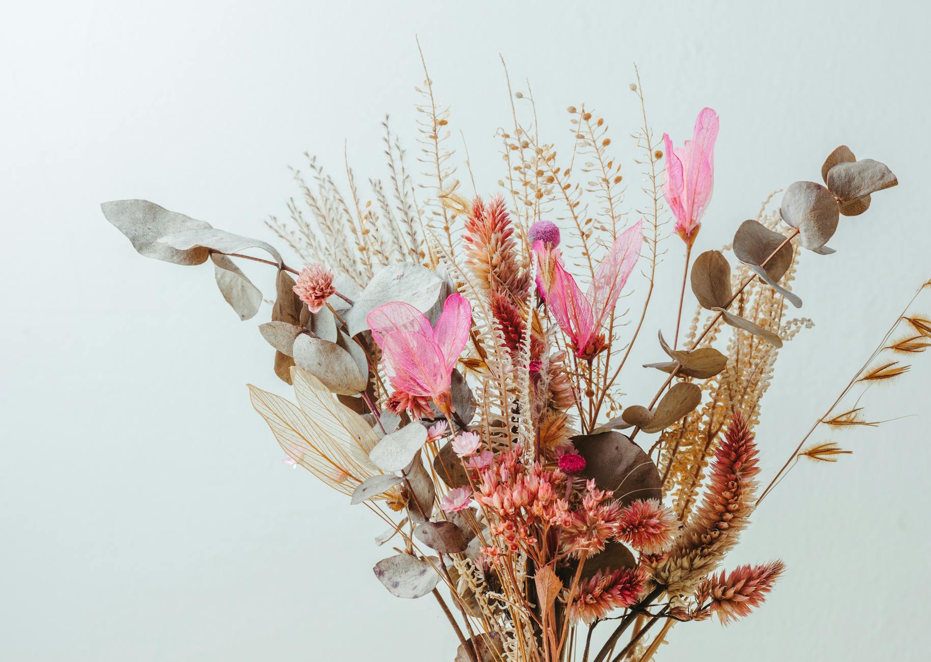 beautiful a bouquet of dried flowers